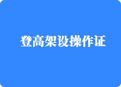 大鸡巴操逼视频射精的在线播放登高架设操作证